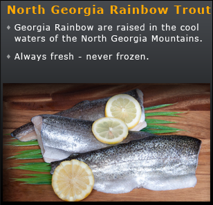 Rainbow Trout