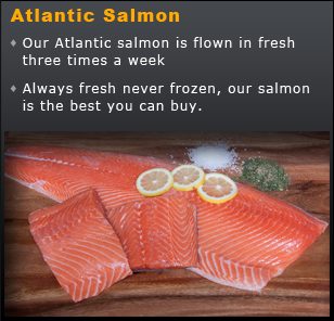 Salmon