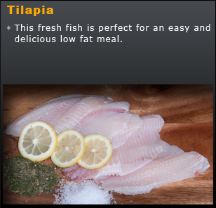 Tilapia